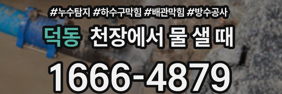덕동 천장에서 물 샐 때