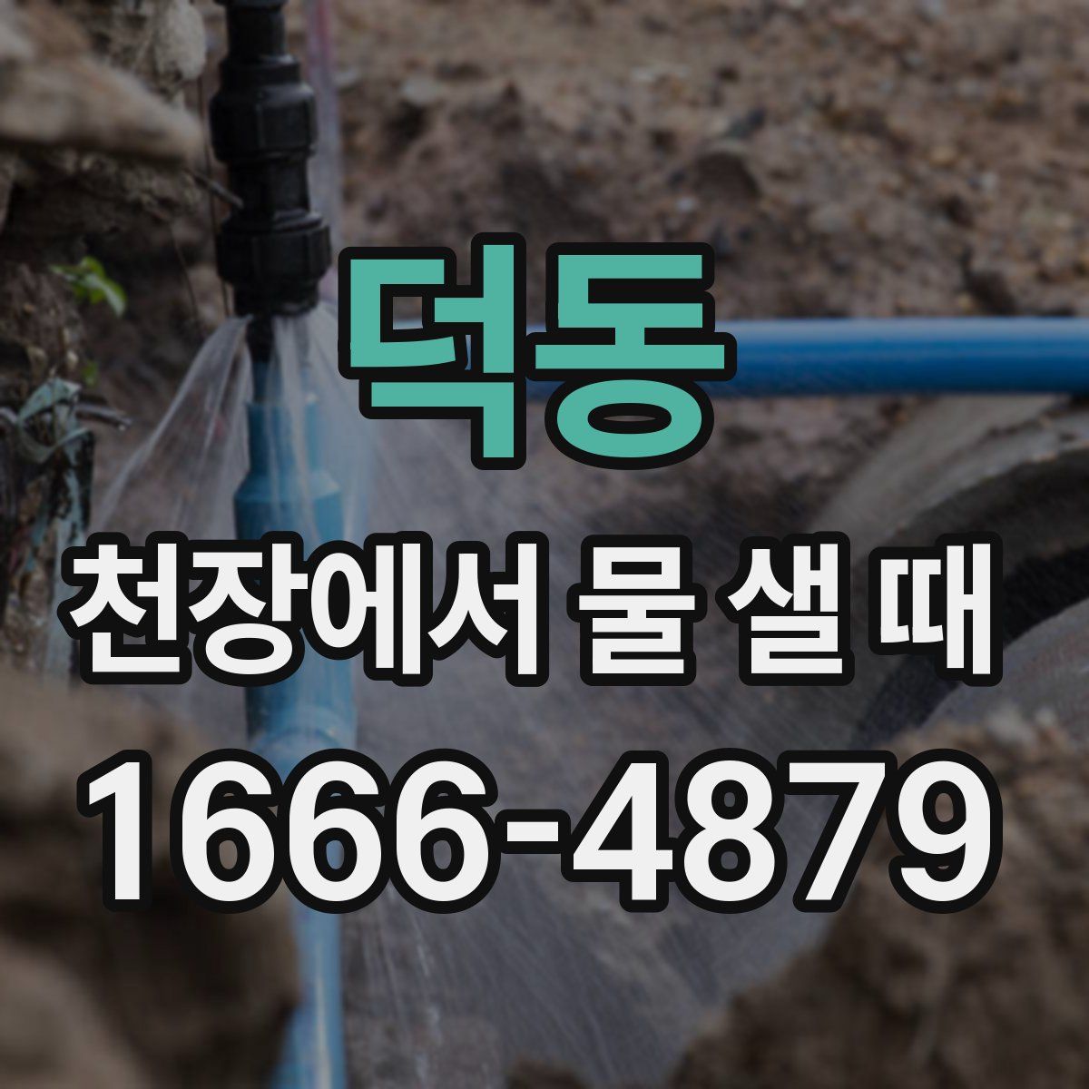 덕동 천장에서 물 샐 때