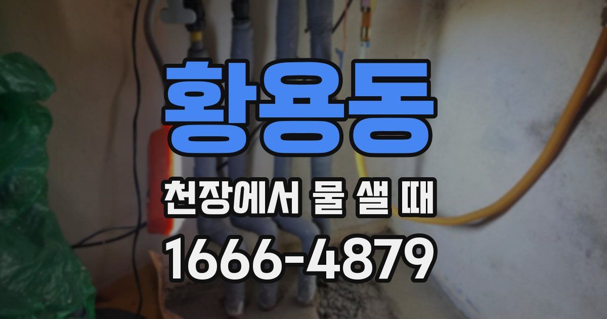 황용동 천장에서 물 샐 때
