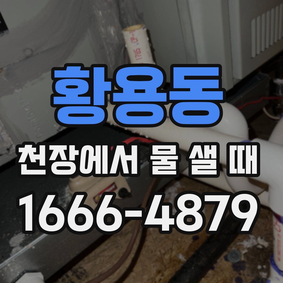 황용동 천장에서 물 샐 때