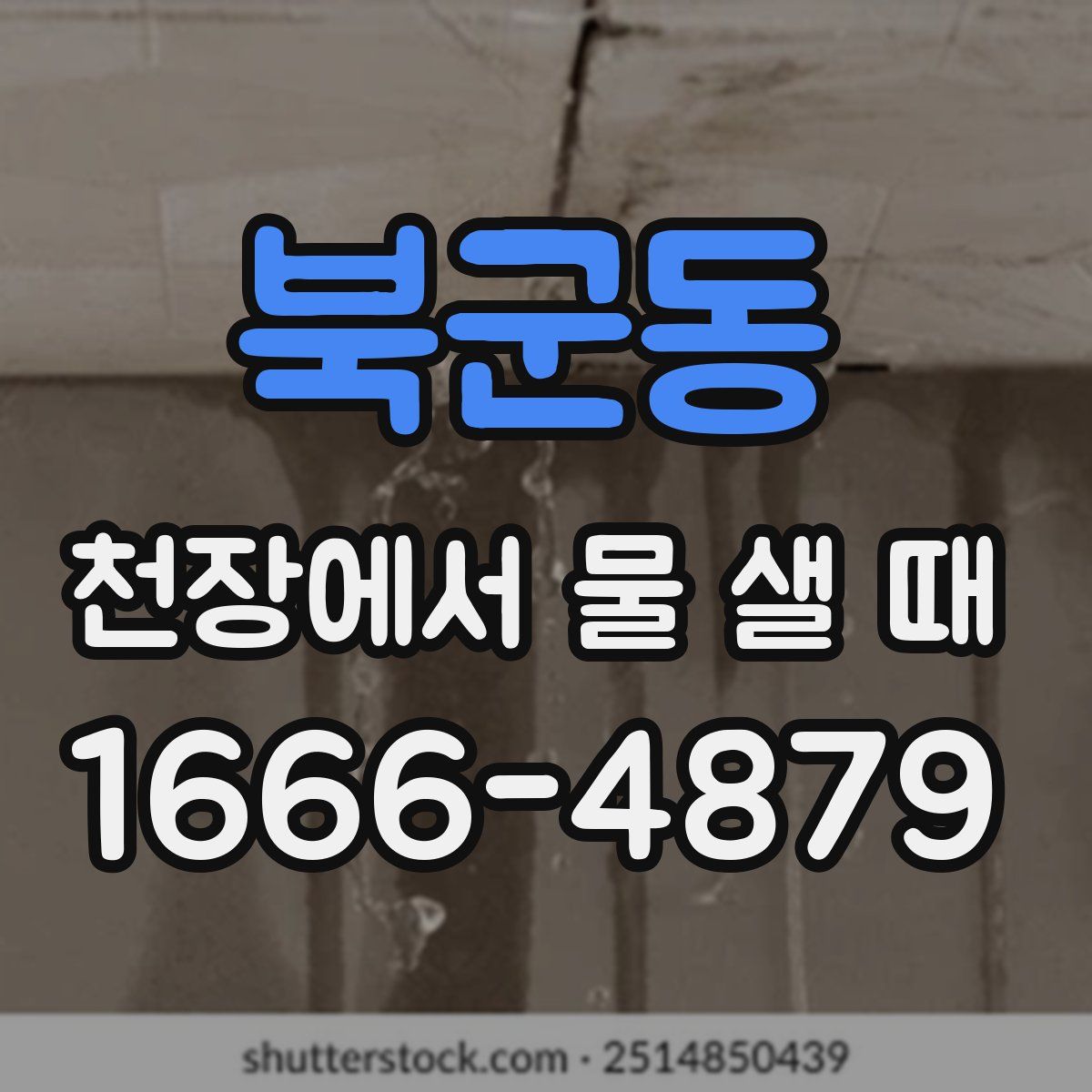 북군동 천장에서 물 샐 때