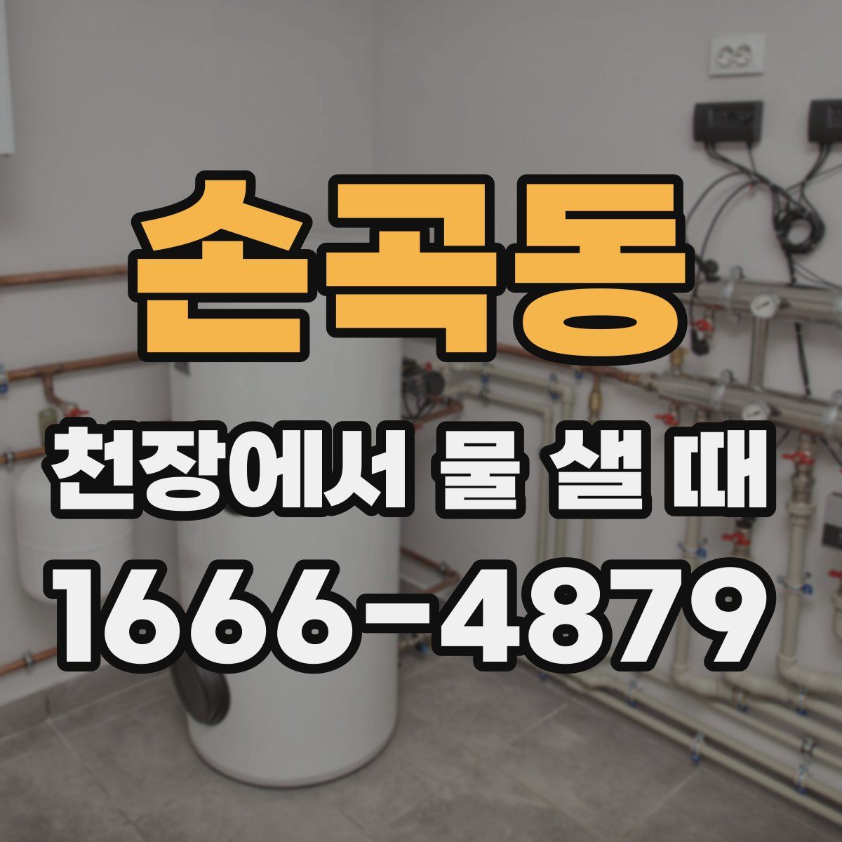 손곡동 천장에서 물 샐 때