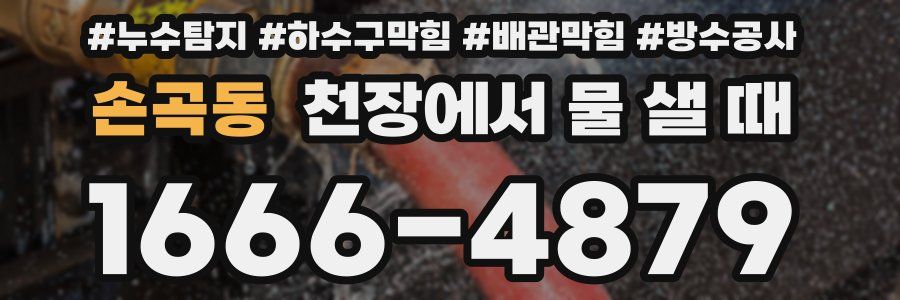 손곡동 천장에서 물 샐 때