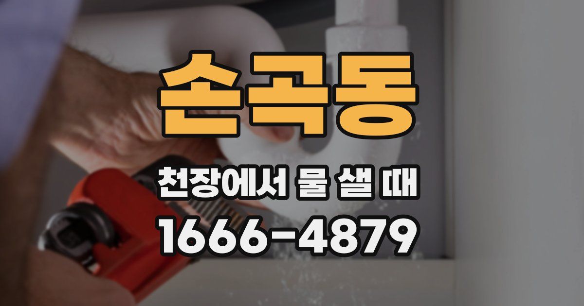 손곡동 천장에서 물 샐 때