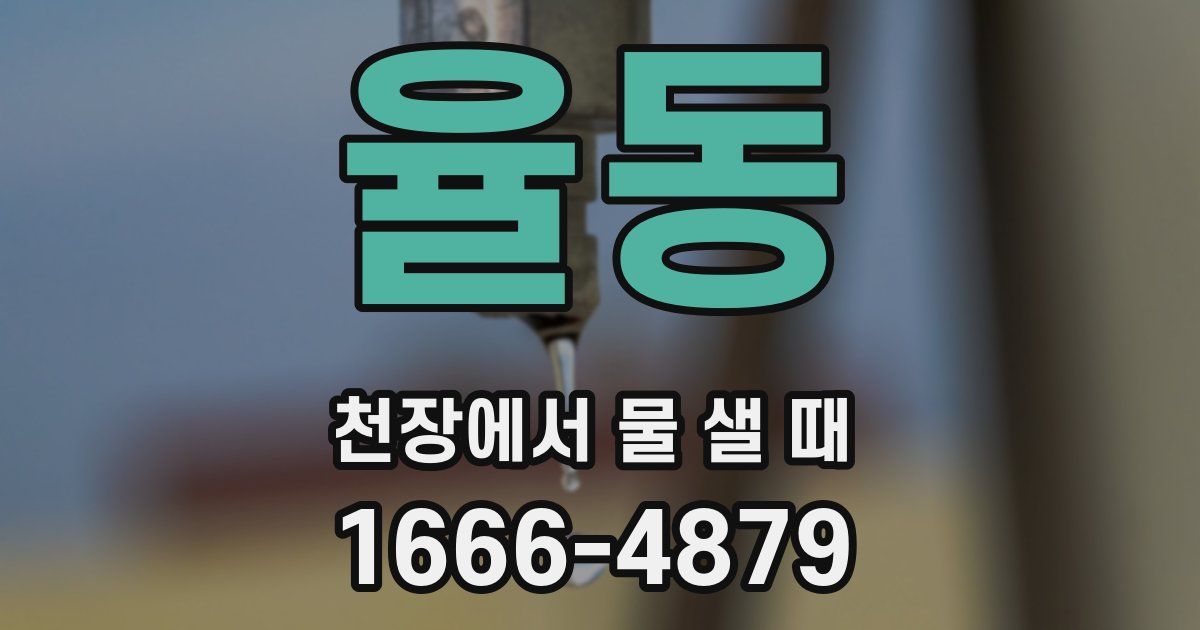 율동 천장에서 물 샐 때