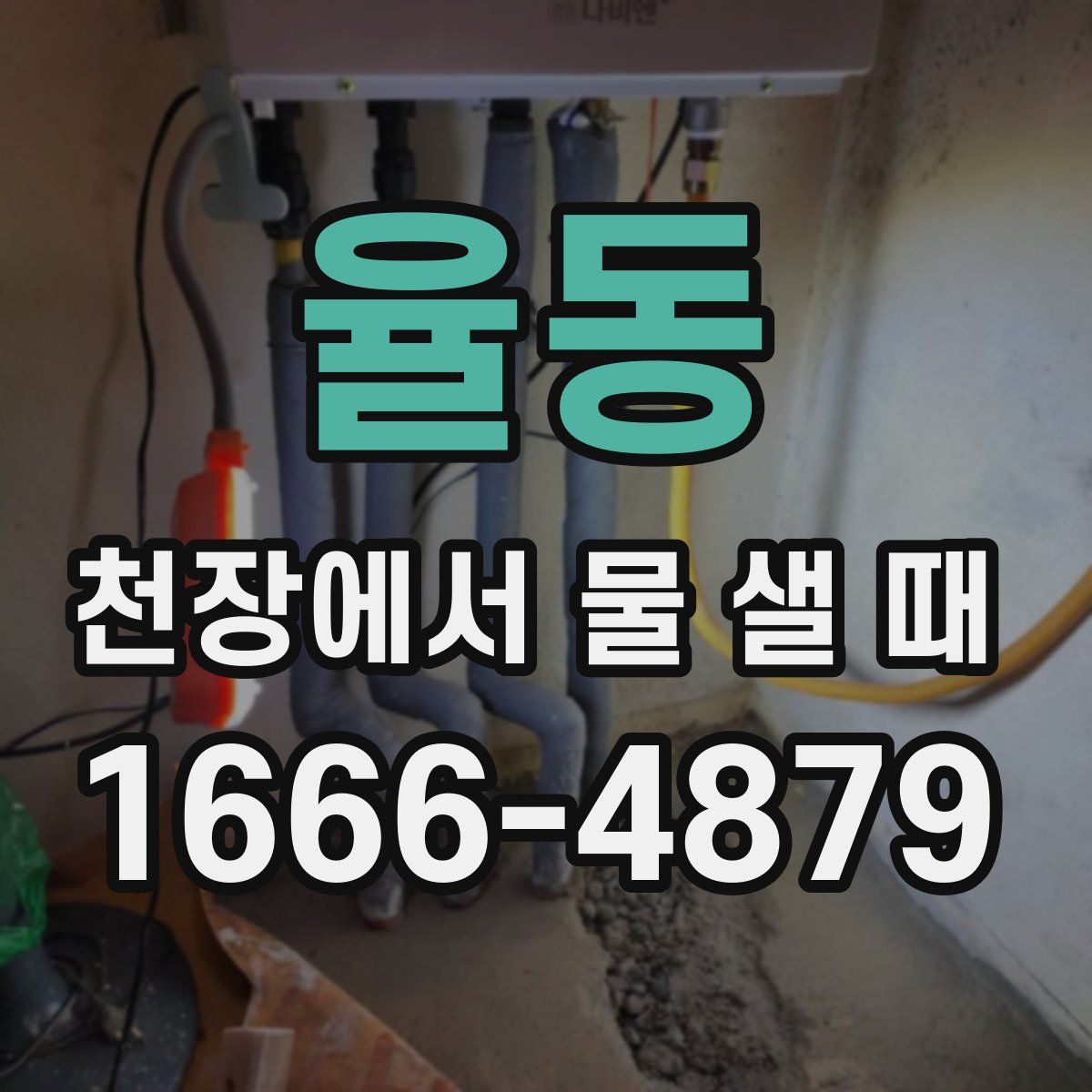 율동 천장에서 물 샐 때