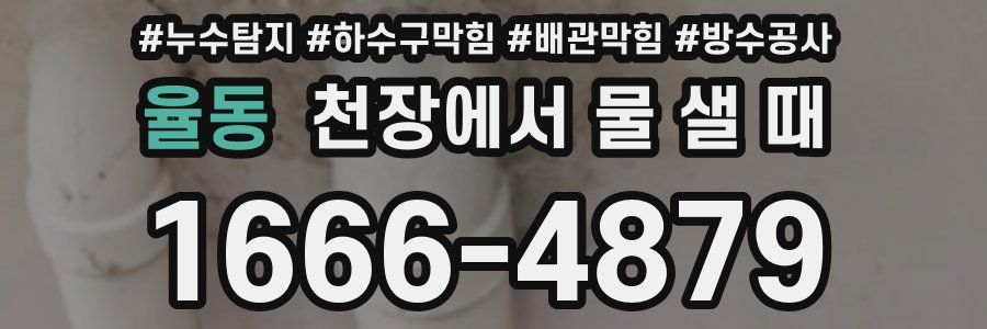 율동 천장에서 물 샐 때