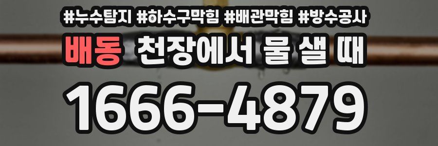 배동 천장에서 물 샐 때