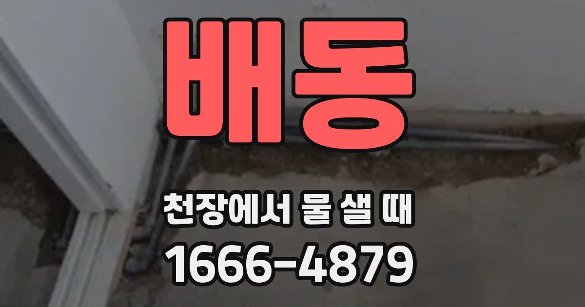 배동 천장에서 물 샐 때