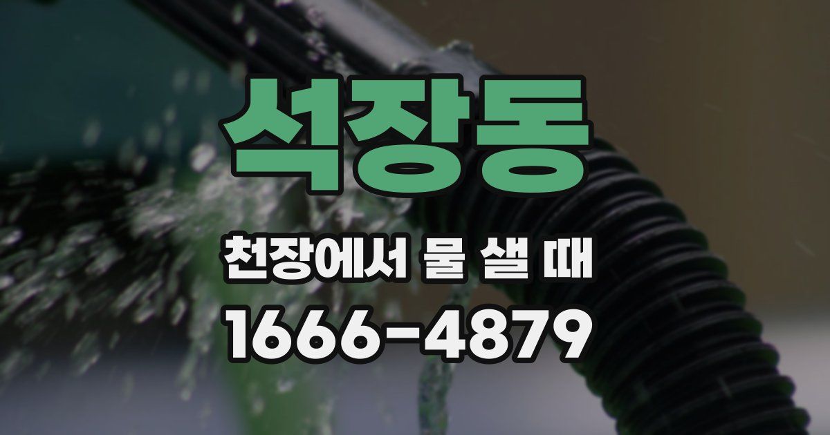 석장동 천장에서 물 샐 때