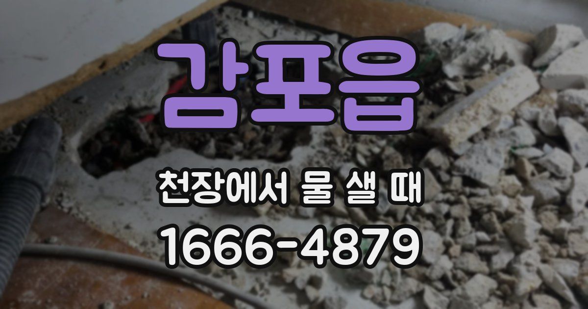 감포읍 천장에서 물 샐 때