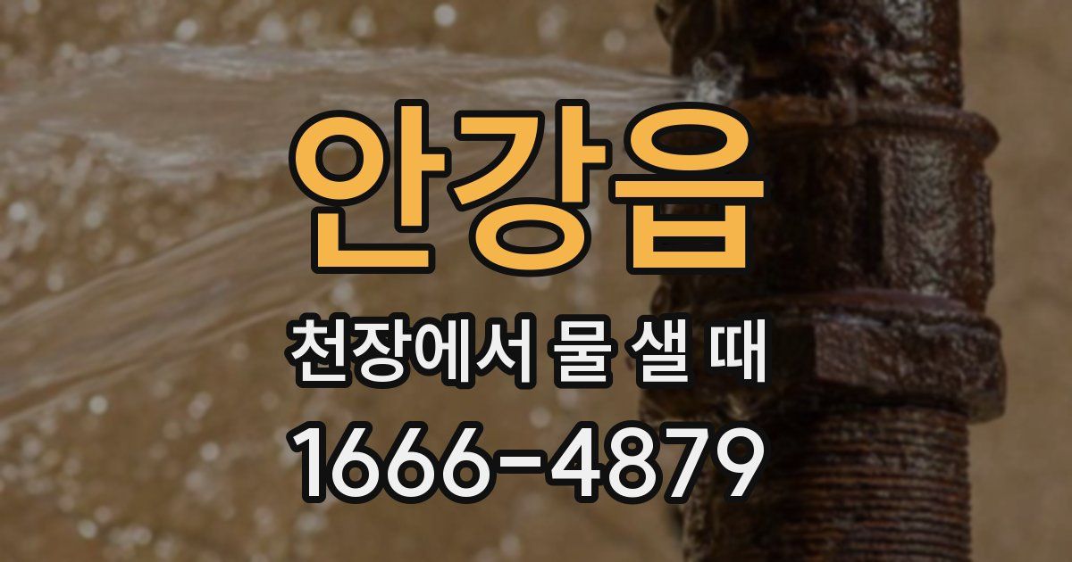 안강읍 천장에서 물 샐 때