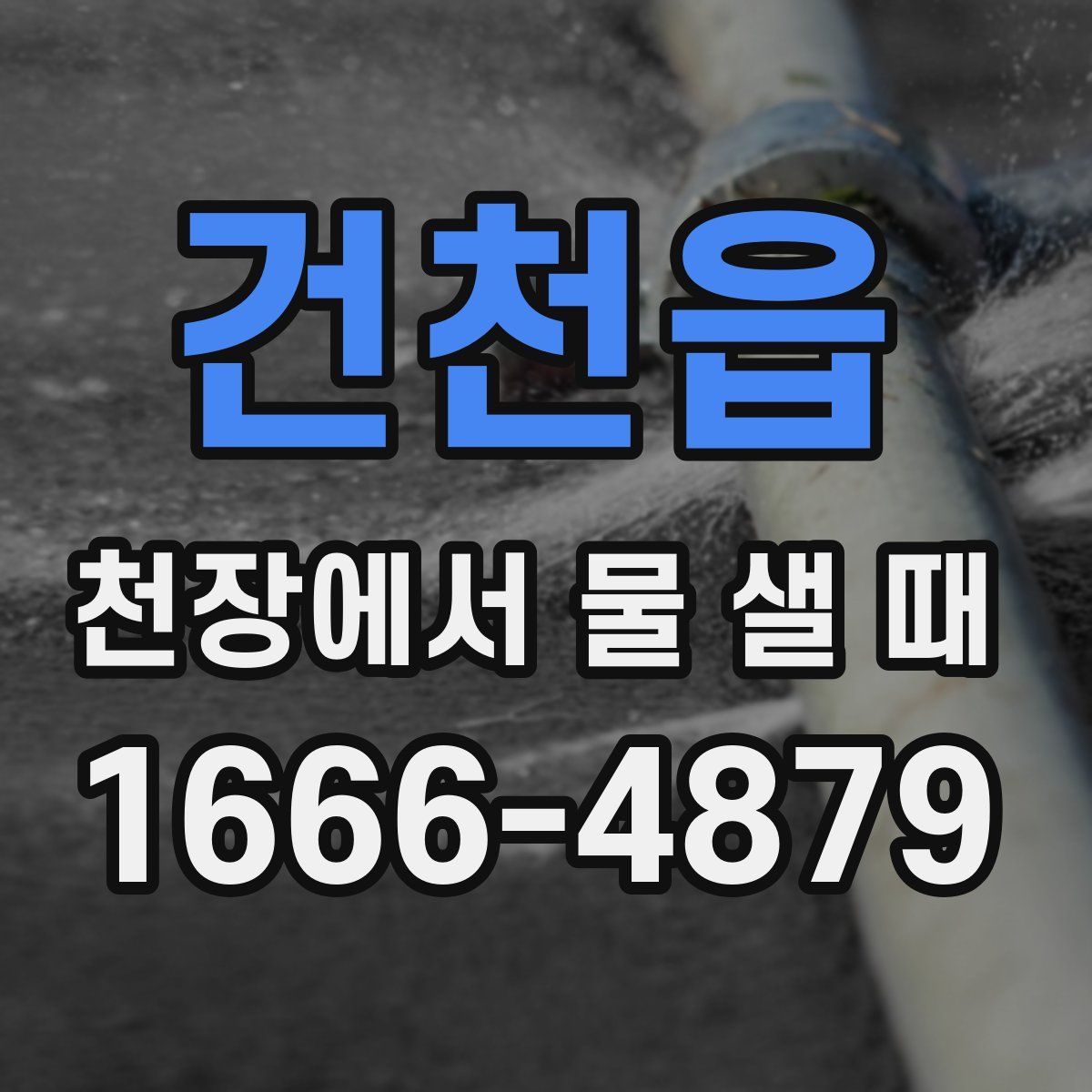 건천읍 천장에서 물 샐 때