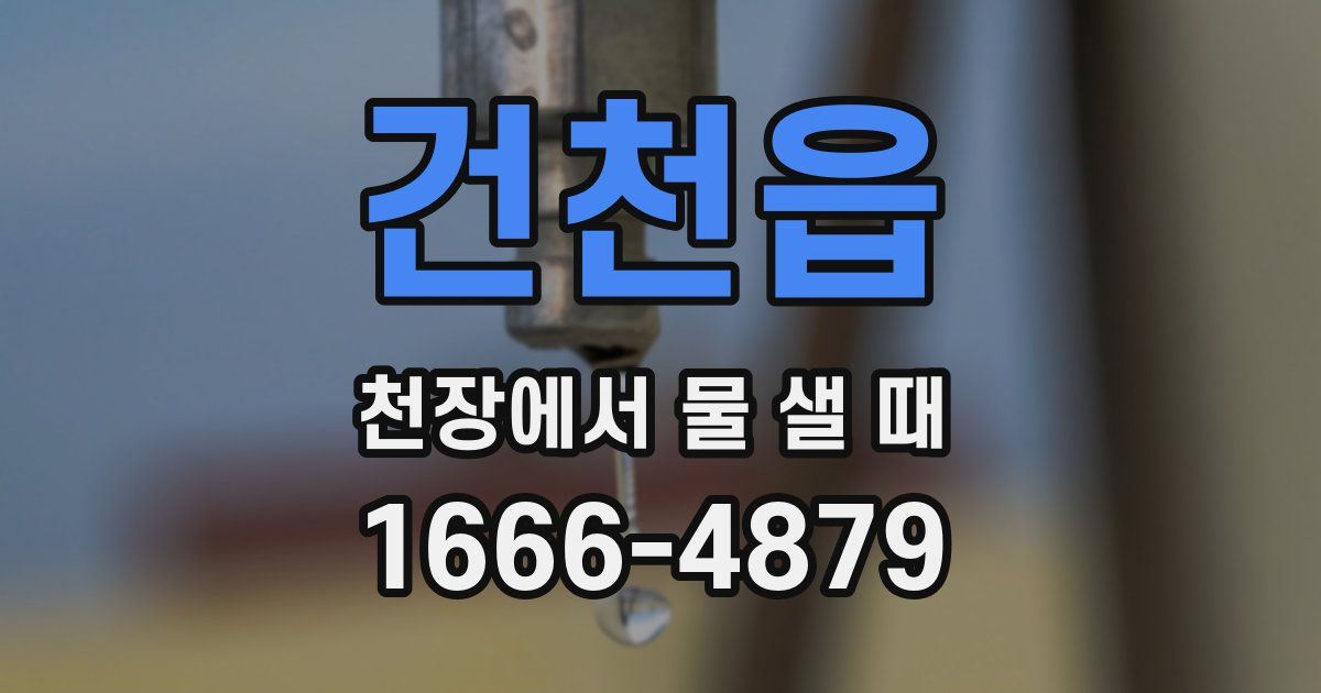 건천읍 천장에서 물 샐 때
