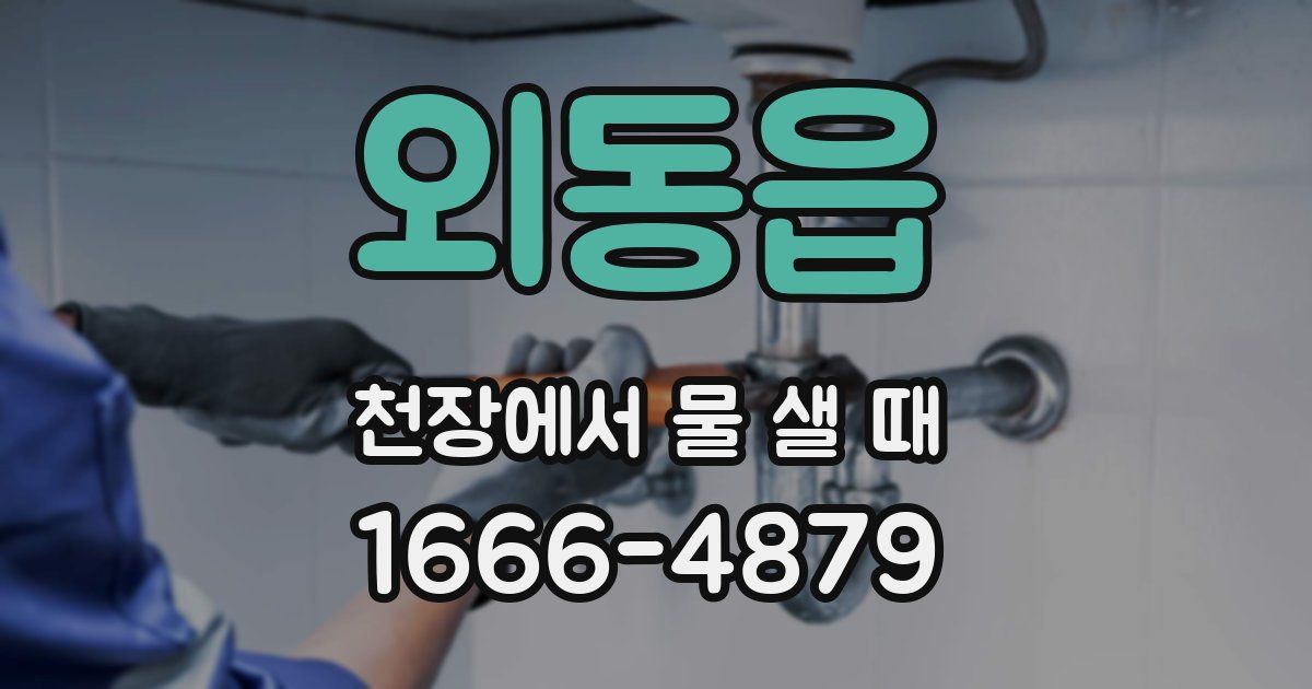 외동읍 천장에서 물 샐 때
