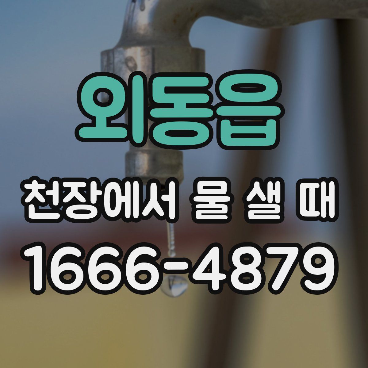 외동읍 천장에서 물 샐 때