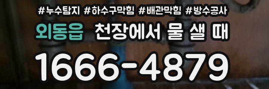외동읍 천장에서 물 샐 때