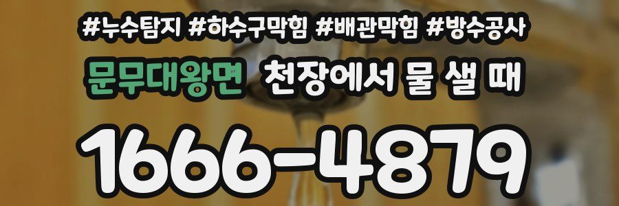 문무대왕면 천장에서 물 샐 때