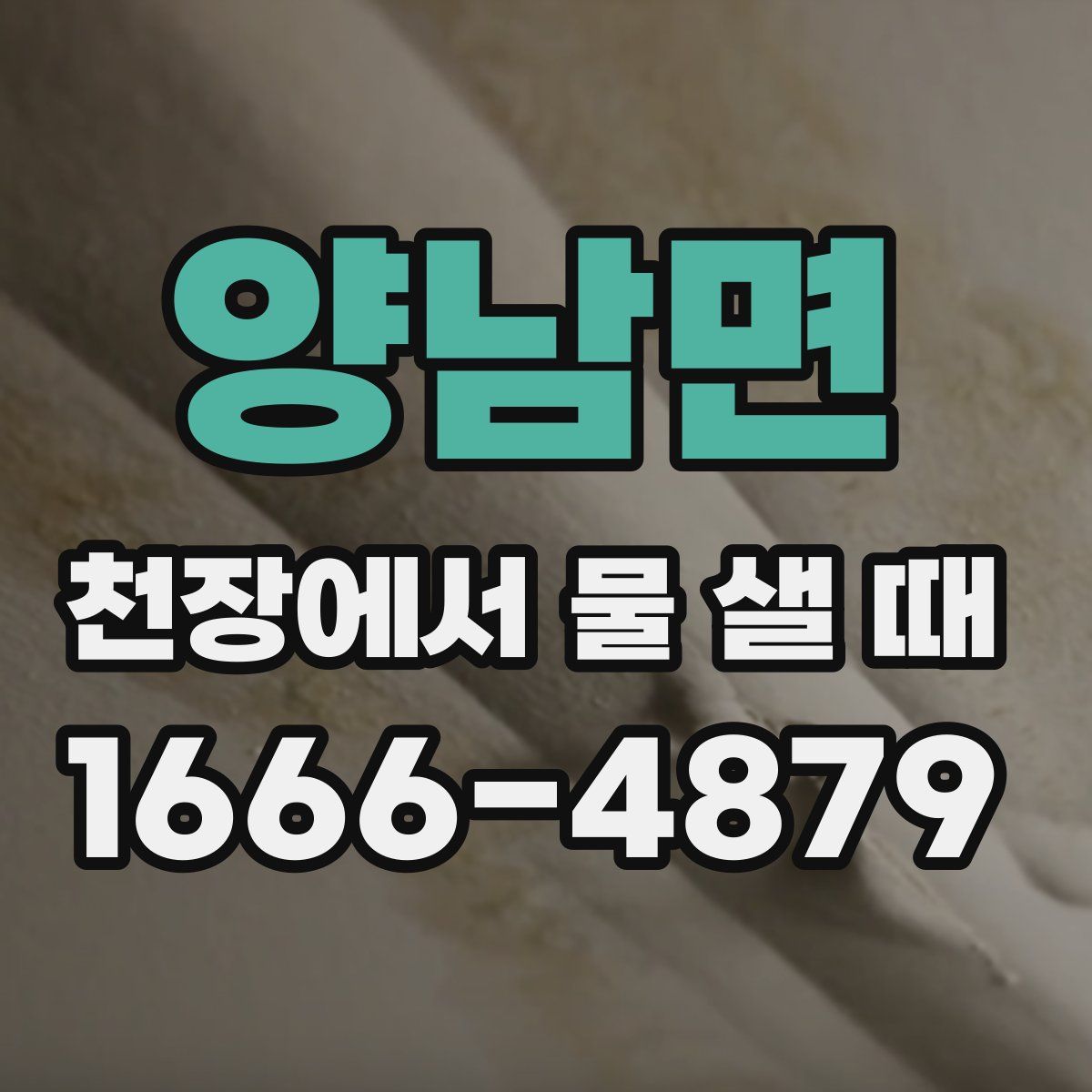 양남면 천장에서 물 샐 때