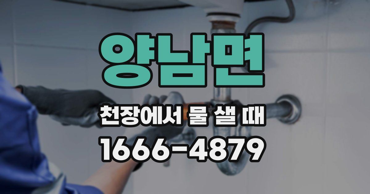 양남면 천장에서 물 샐 때