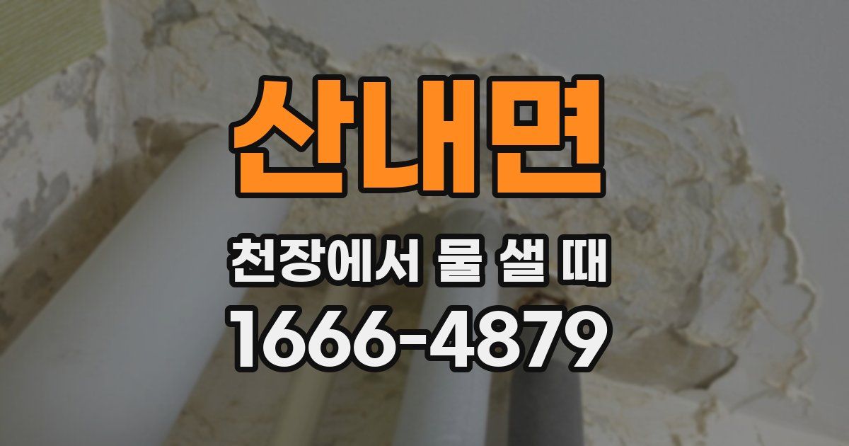 산내면 천장에서 물 샐 때