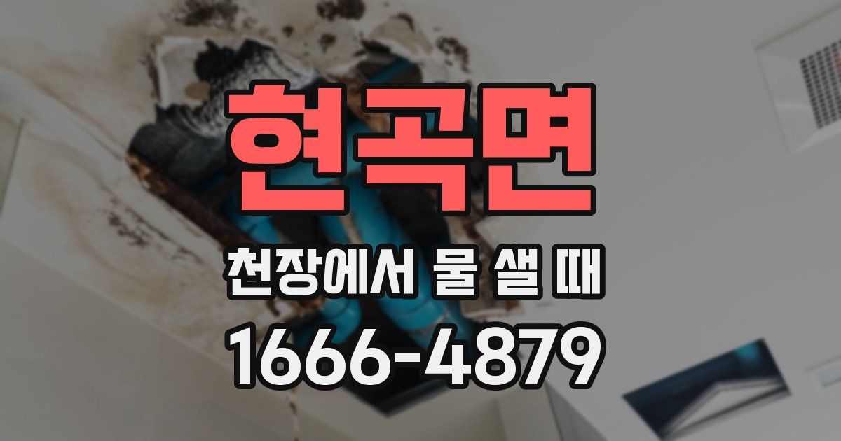 현곡면 천장에서 물 샐 때