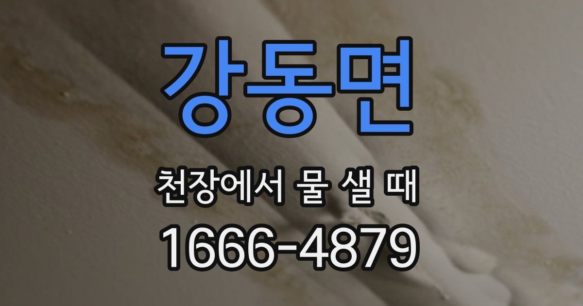 강동면 천장에서 물 샐 때