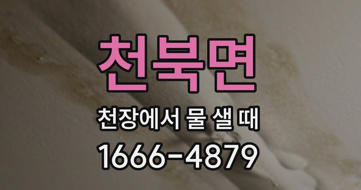 천북면 천장에서 물 샐 때