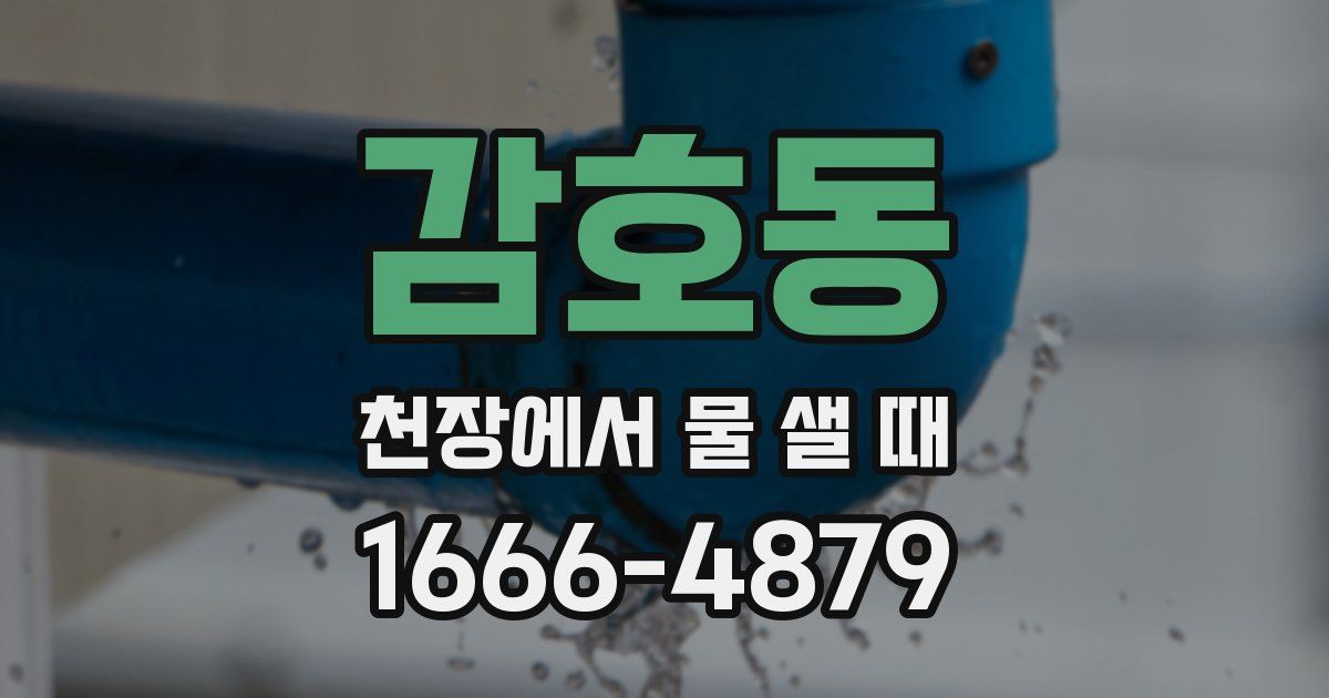 감호동 천장에서 물 샐 때