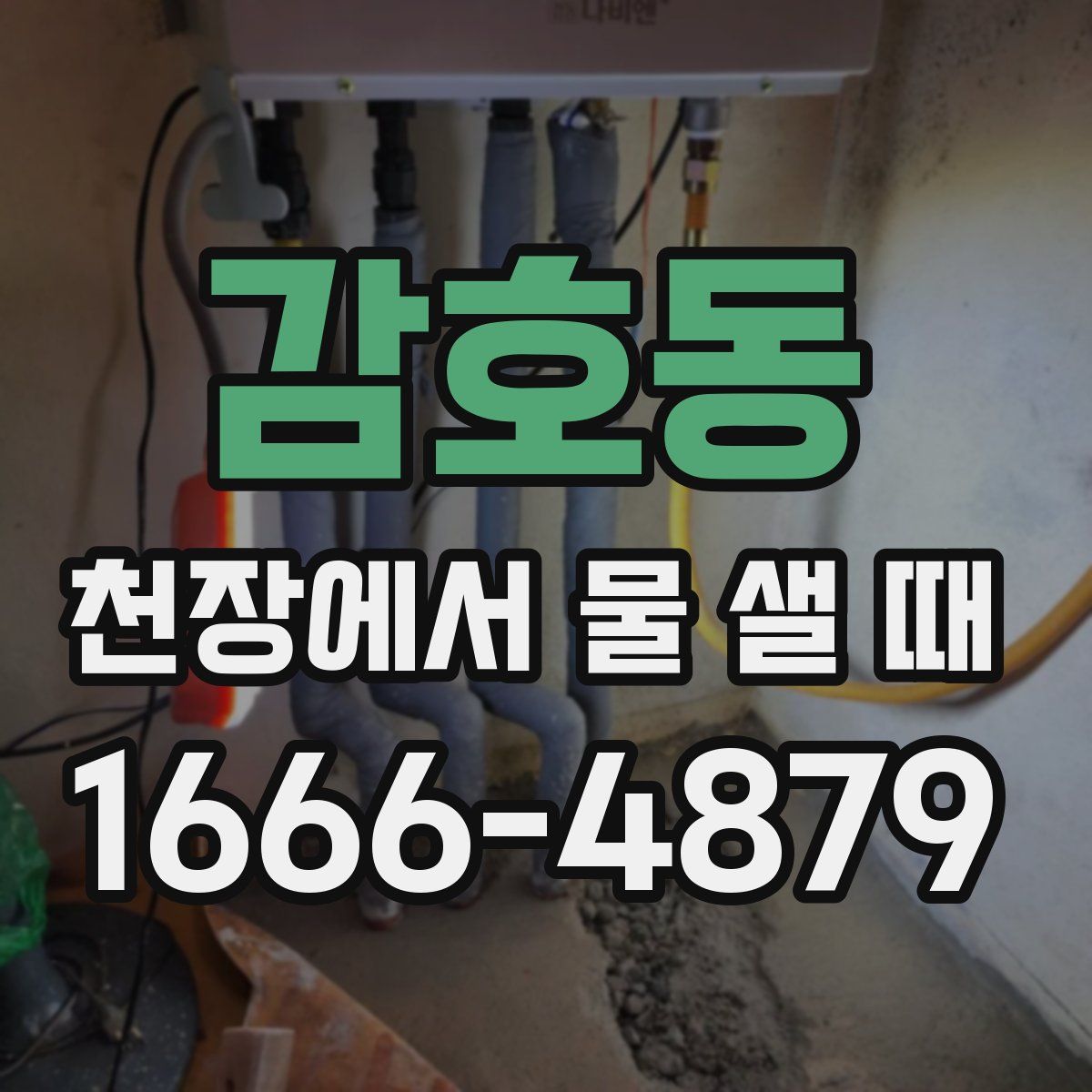 감호동 천장에서 물 샐 때