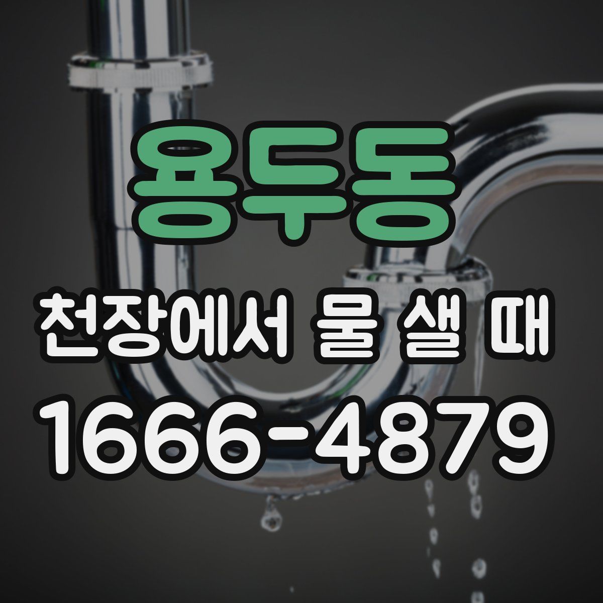 용두동 천장에서 물 샐 때