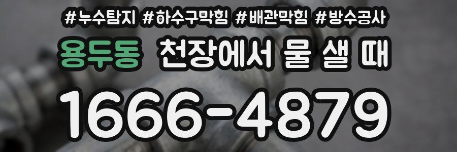 용두동 천장에서 물 샐 때