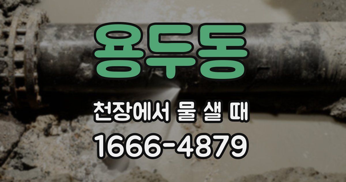 용두동 천장에서 물 샐 때