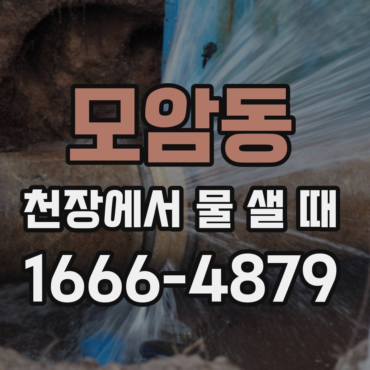 모암동 천장에서 물 샐 때