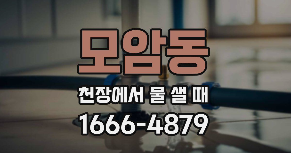 모암동 천장에서 물 샐 때