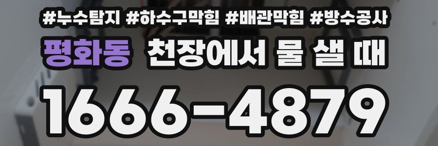 평화동 천장에서 물 샐 때