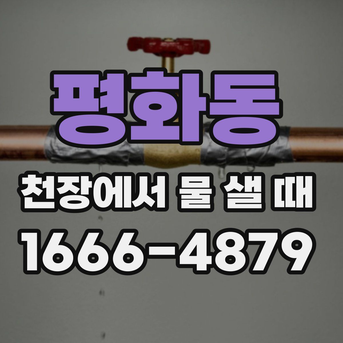 평화동 천장에서 물 샐 때