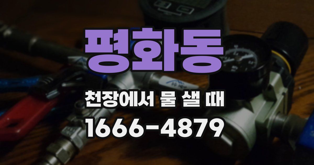 평화동 천장에서 물 샐 때