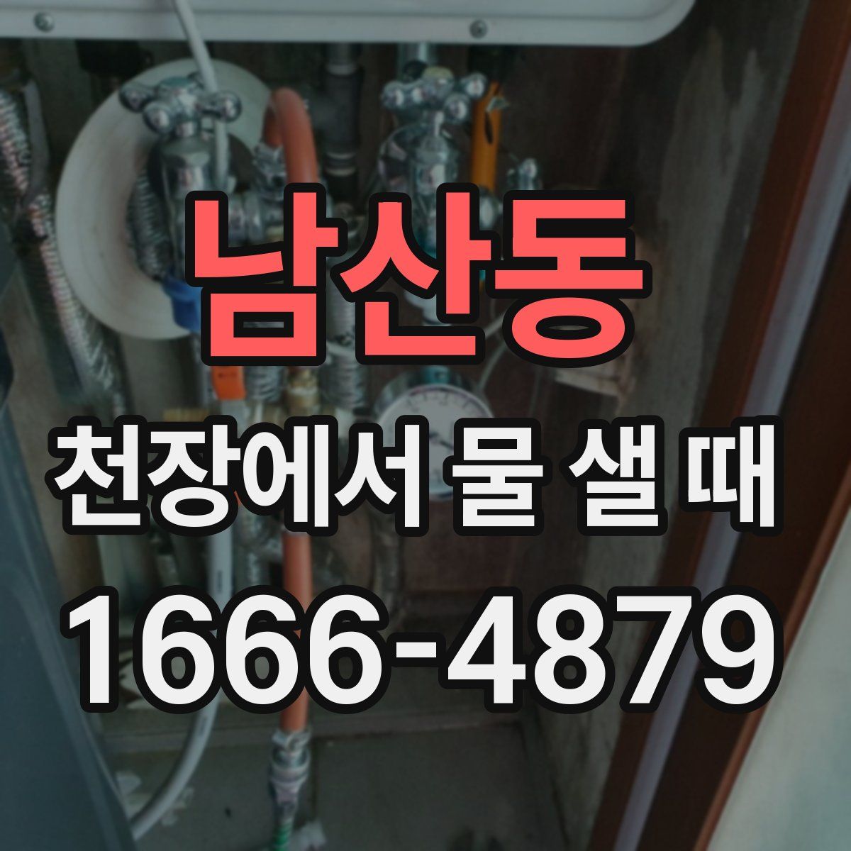 남산동 천장에서 물 샐 때