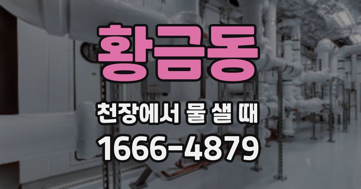 황금동 천장에서 물 샐 때
