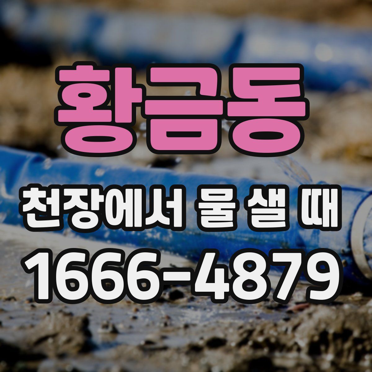 황금동 천장에서 물 샐 때