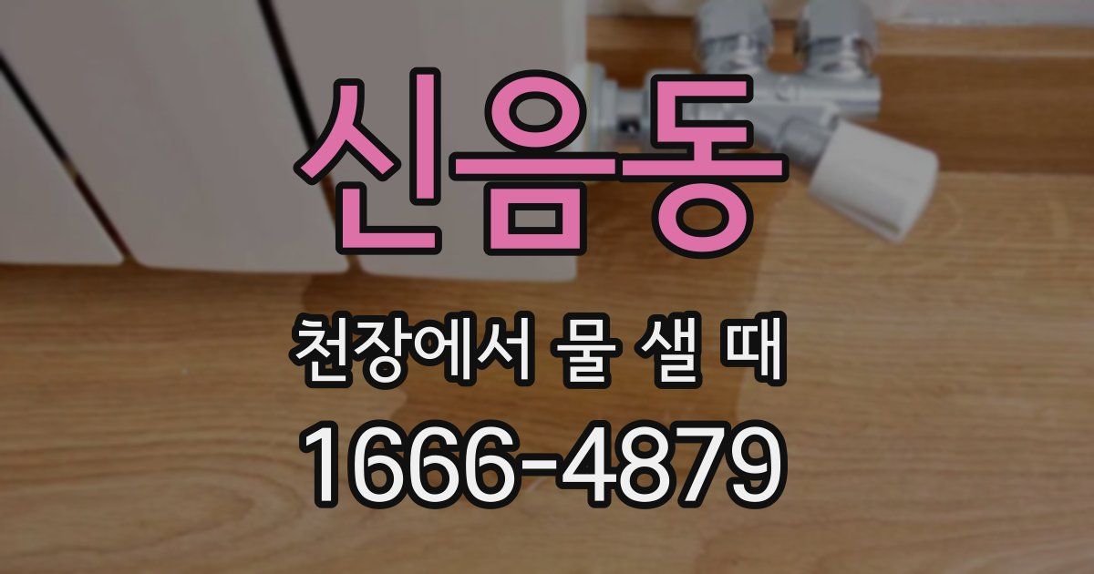 신음동 천장에서 물 샐 때