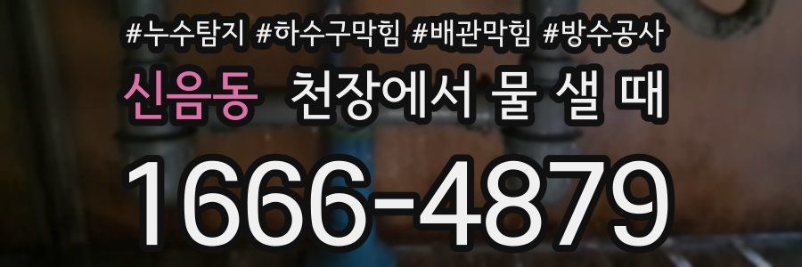 신음동 천장에서 물 샐 때
