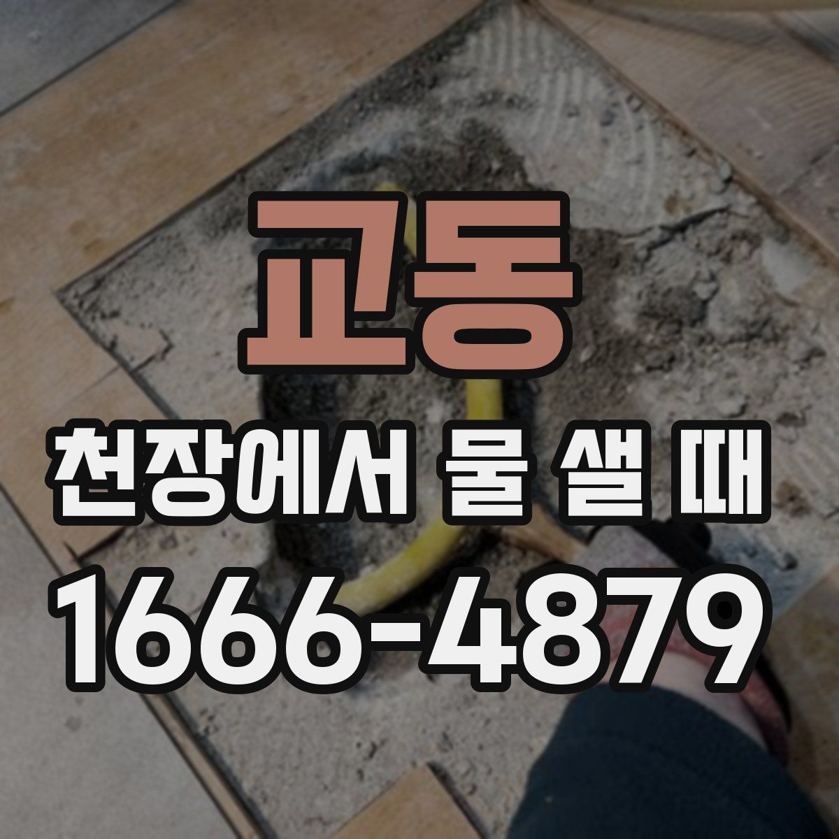 교동 천장에서 물 샐 때