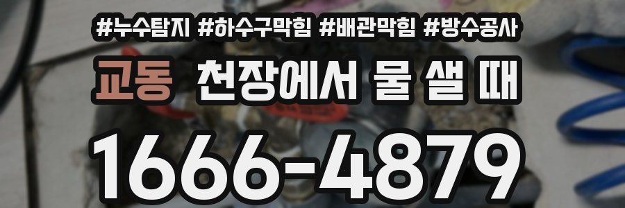 교동 천장에서 물 샐 때