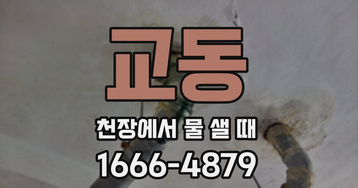 교동 천장에서 물 샐 때