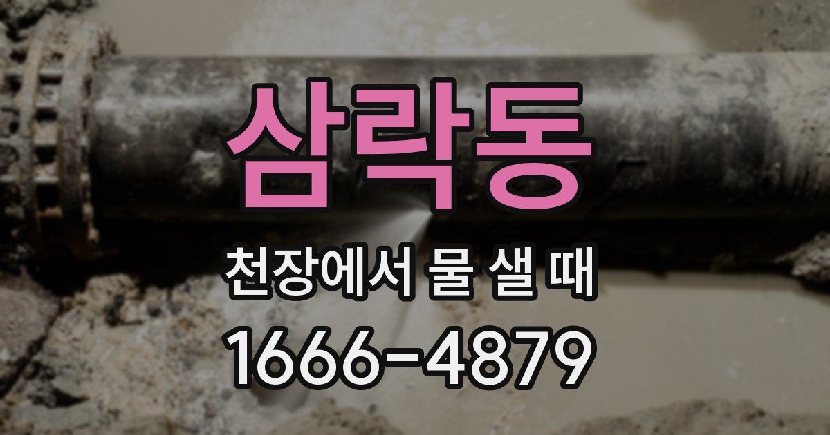 삼락동 천장에서 물 샐 때