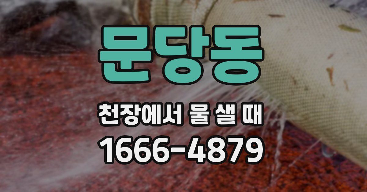 문당동 천장에서 물 샐 때