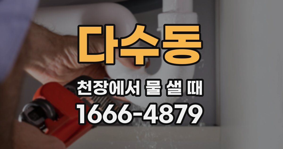 다수동 천장에서 물 샐 때