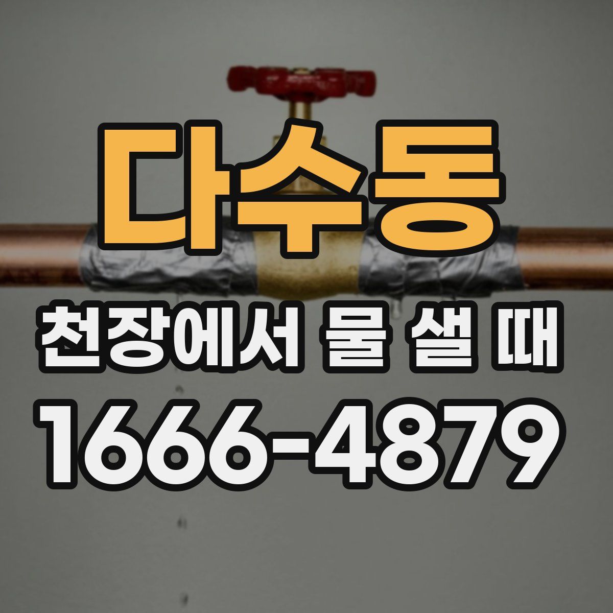 다수동 천장에서 물 샐 때